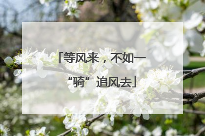 等风来，不如一“骑”追风去