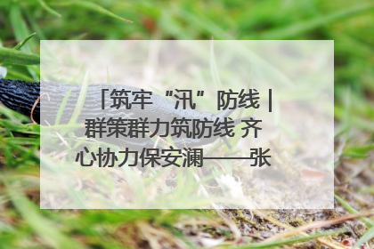 筑牢“汛”防线｜群策群力筑防线 齐心协力保安澜——张家界高新区上下众志成城迎战汛情