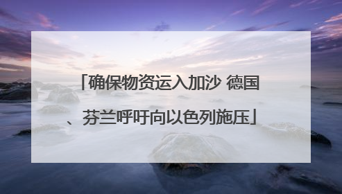 确保物资运入加沙 德国、芬兰呼吁向以色列施压