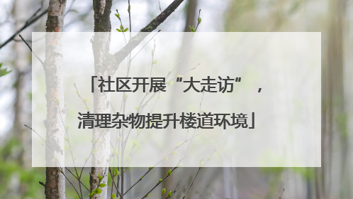 社区开展“大走访”，清理杂物提升楼道环境