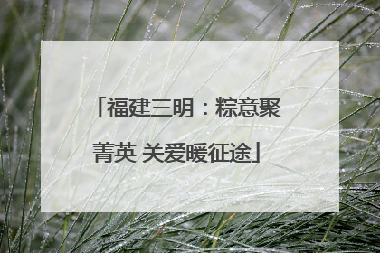 福建三明：粽意聚菁英 关爱暖征途
