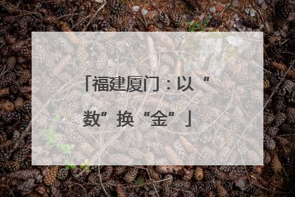 福建厦门：以“数”换“金”