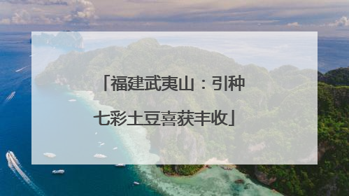 福建武夷山：引种七彩土豆喜获丰收