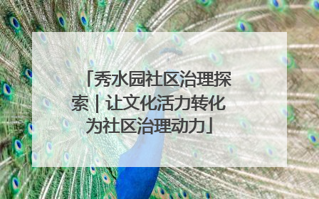 秀水园社区治理探索｜让文化活力转化为社区治理动力