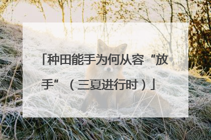种田能手为何从容“放手”（三夏进行时）