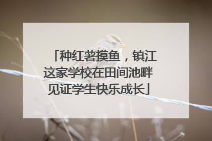 种红薯摸鱼，镇江这家学校在田间池畔见证学生快乐成长