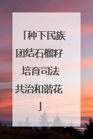 种下民族团结石榴籽 培育司法共治和谐花
