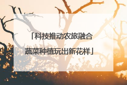 科技推动农旅融合 蔬菜种植玩出新花样