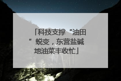 科技支撑“油田”蜕变，东营盐碱地油菜丰收忙