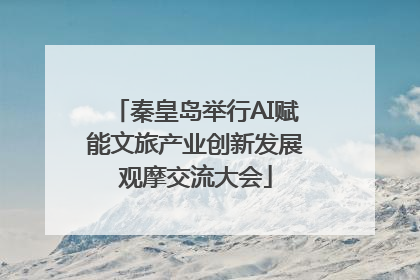秦皇岛举行AI赋能文旅产业创新发展观摩交流大会