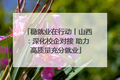 稳就业在行动丨山西：深化校企对接 助力高质量充分就业
