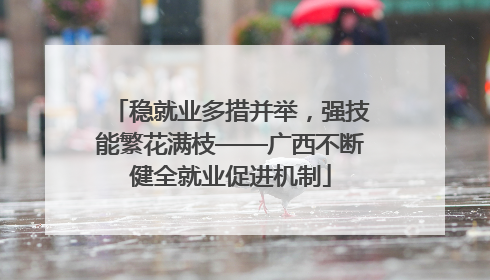 稳就业多措并举，强技能繁花满枝——广西不断健全就业促进机制