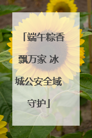 端午粽香飘万家 冰城公安全域守护