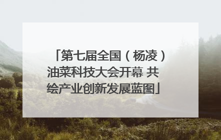 第七届全国（杨凌）油菜科技大会开幕 共绘产业创新发展蓝图
