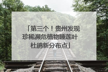 第三个！贵州发现珍稀濒危植物睡莲叶杜鹃新分布点