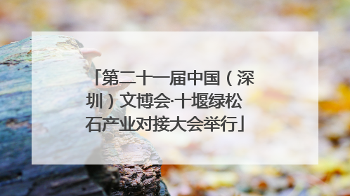 第二十一届中国（深圳）文博会·十堰绿松石产业对接大会举行
