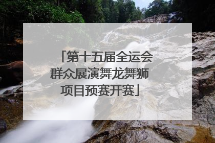 第十五届全运会群众展演舞龙舞狮项目预赛开赛
