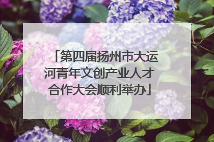 第四届扬州市大运河青年文创产业人才合作大会顺利举办
