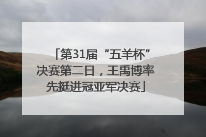 第31届“五羊杯”决赛第二日，王禹博率先挺进冠亚军决赛
