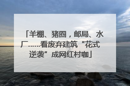 羊棚、猪圈，邮局、水厂……看废弃建筑“花式逆袭”成网红村咖