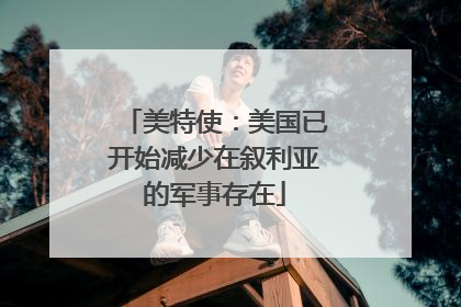 美特使：美国已开始减少在叙利亚的军事存在
