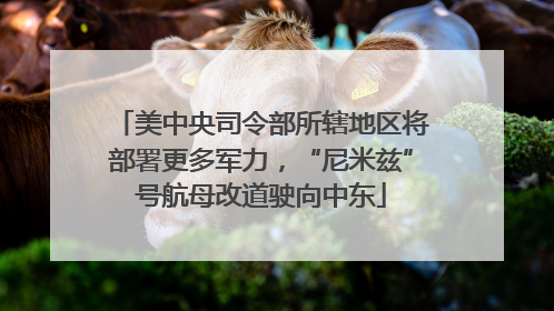 美中央司令部所辖地区将部署更多军力，“尼米兹”号航母改道驶向中东