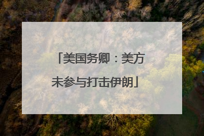 美国务卿：美方未参与打击伊朗