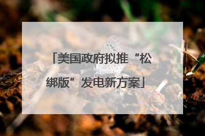 美国政府拟推“松绑版”发电新方案