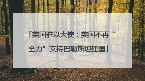 美国驻以大使：美国不再“全力”支持巴勒斯坦建国