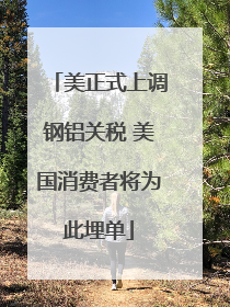 美正式上调钢铝关税 美国消费者将为此埋单