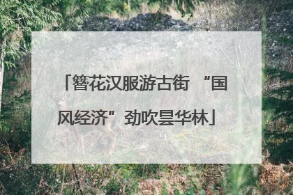 簪花汉服游古街 “国风经济”劲吹昙华林