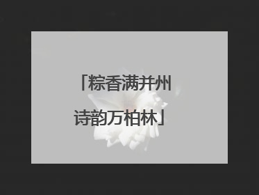 粽香满并州 诗韵万柏林