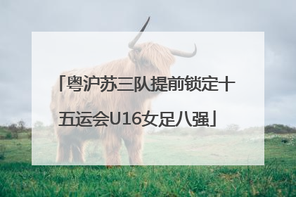 粤沪苏三队提前锁定十五运会U16女足八强