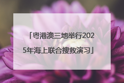 粤港澳三地举行2025年海上联合搜救演习