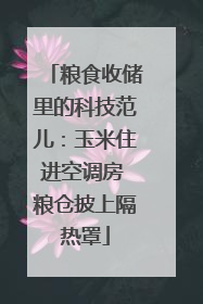 粮食收储里的科技范儿：玉米住进空调房 粮仓披上隔热罩
