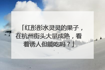 红彤彤水灵灵的果子，在杭州街头大量成熟，看着诱人但能吃吗？
