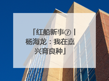 红船新事⑦丨杨海龙：我在嘉兴育良种