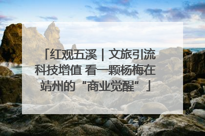 红观五溪｜文旅引流 科技增值 看一颗杨梅在靖州的“商业觉醒”