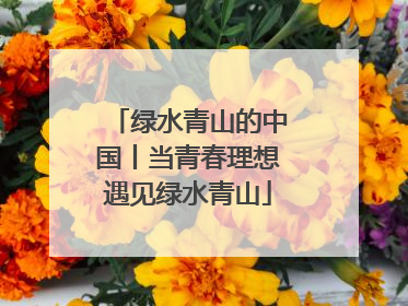 绿水青山的中国丨当青春理想遇见绿水青山