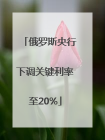 俄罗斯央行下调关键利率至20%