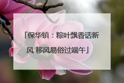 保华镇：粽叶飘香话新风 移风易俗过端午