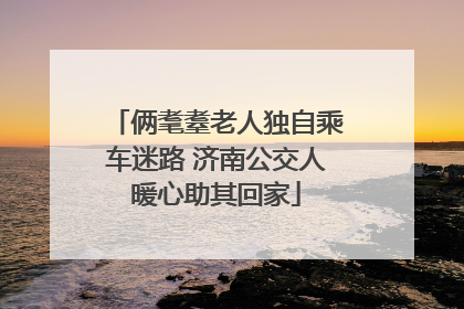 俩耄耋老人独自乘车迷路 济南公交人暖心助其回家