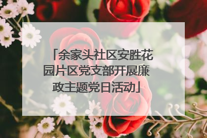 余家头社区安胜花园片区党支部开展廉政主题党日活动