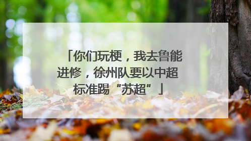 你们玩梗，我去鲁能进修，徐州队要以中超标准踢“苏超”