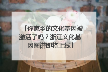你家乡的文化基因被激活了吗？浙江文化基因图谱即将上线