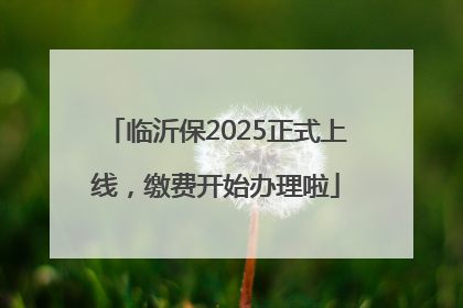 临沂保2025正式上线，缴费开始办理啦