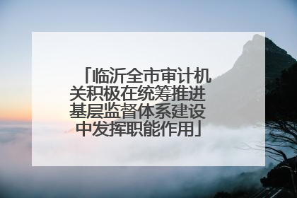 临沂全市审计机关积极在统筹推进基层监督体系建设中发挥职能作用