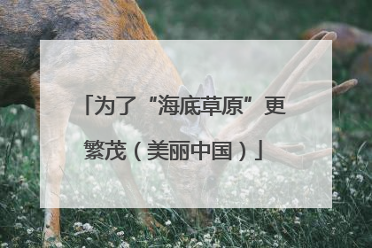 为了“海底草原”更繁茂（美丽中国）