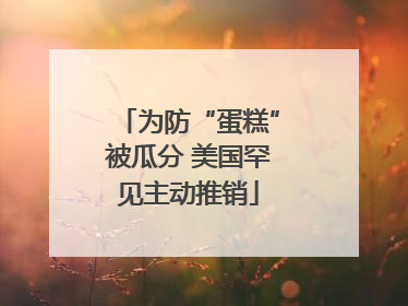 为防“蛋糕”被瓜分 美国罕见主动推销