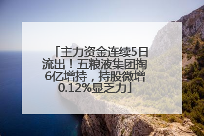 主力资金连续5日流出！五粮液集团掏6亿增持，持股微增0.12%显乏力